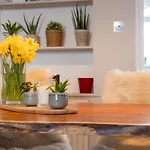 Hereford City - St Owens Terrace - Comfortable & Spacious Well Presented Three Storey House, Perfect For A Weekend Away & Exploring The City On Foot - Hosted By Rentmyhouse