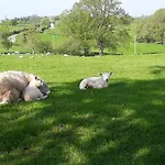 Ewe Retreat Shepherds Hut
