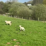 Maddoc\'S Hut - Herefordshire