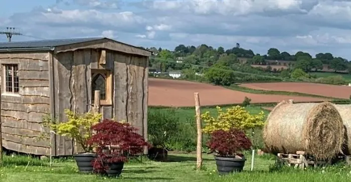 The Queen Bee Cabin
