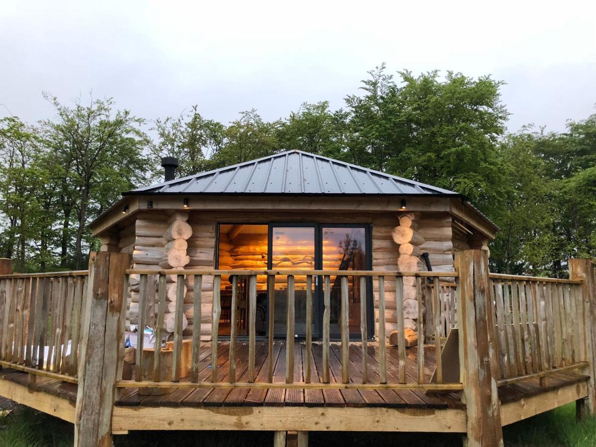 Lodge Coed Y Marchog Woodland Retreat