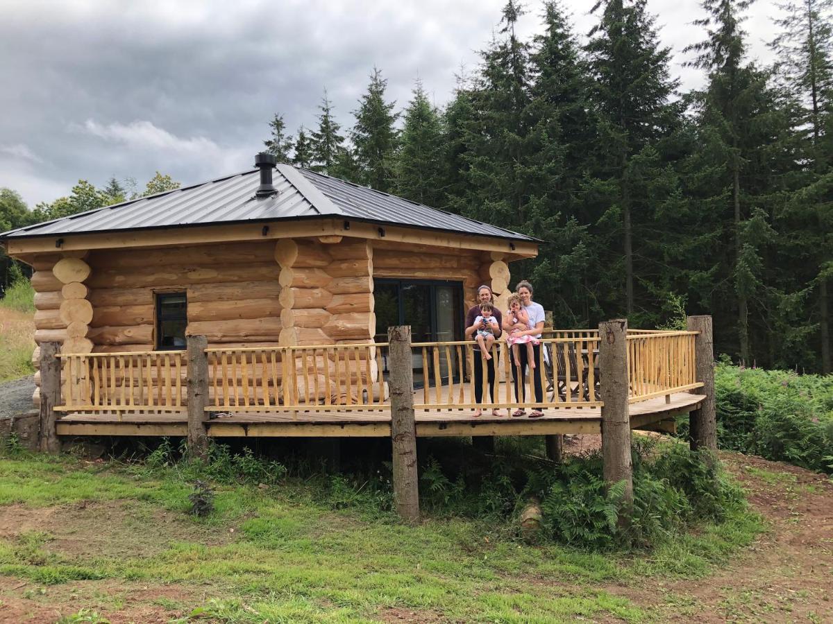 Lodge Coed Y Marchog Woodland Retreat