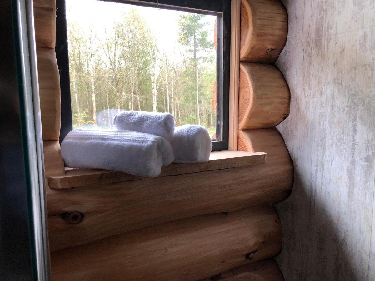 Coed Y Marchog Woodland Retreat Lodge