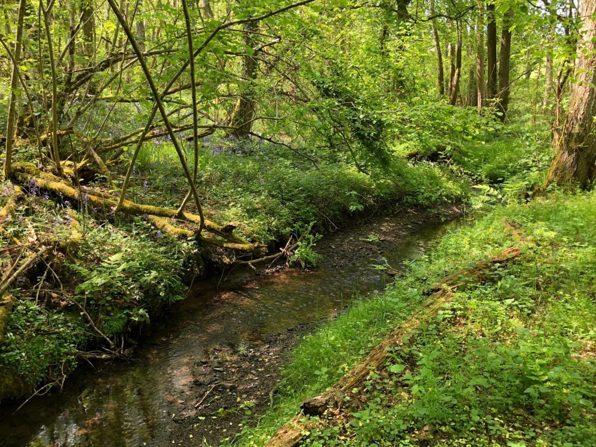 Coed Y Marchog Woodland Retreat Lodge Hereford