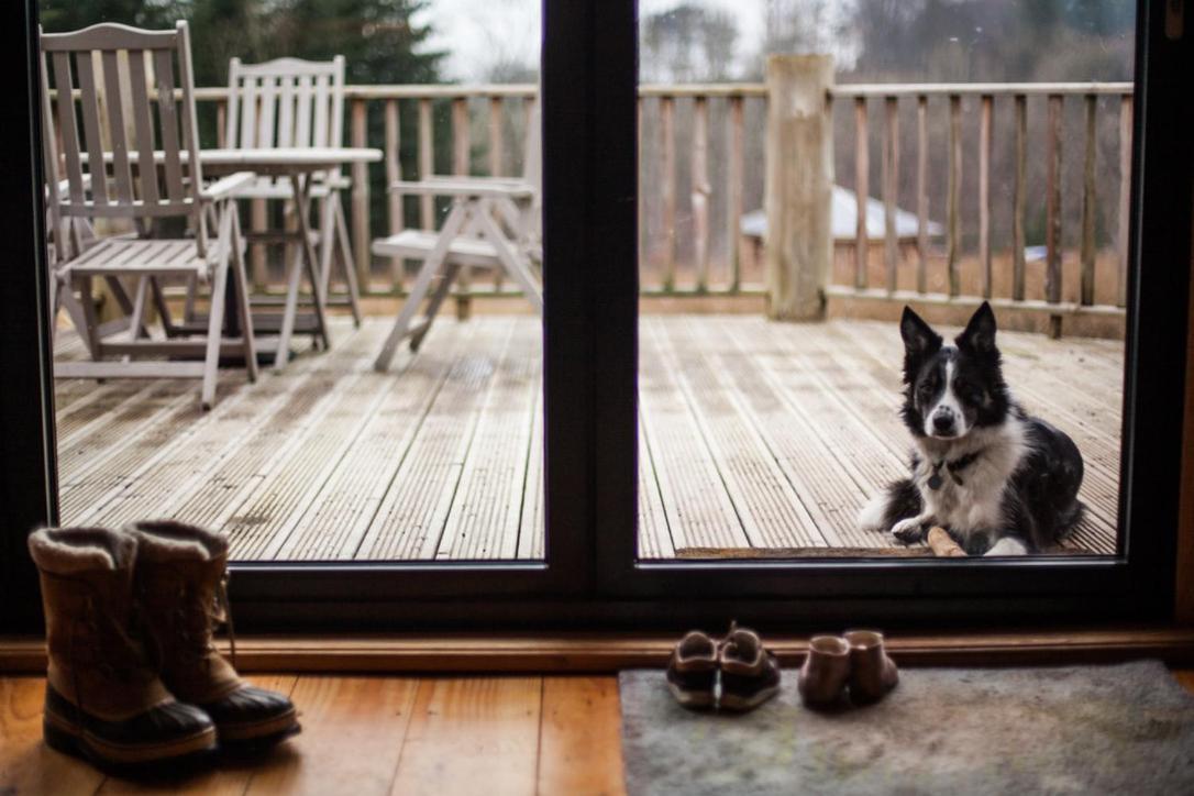 Coed Y Marchog Woodland Retreat