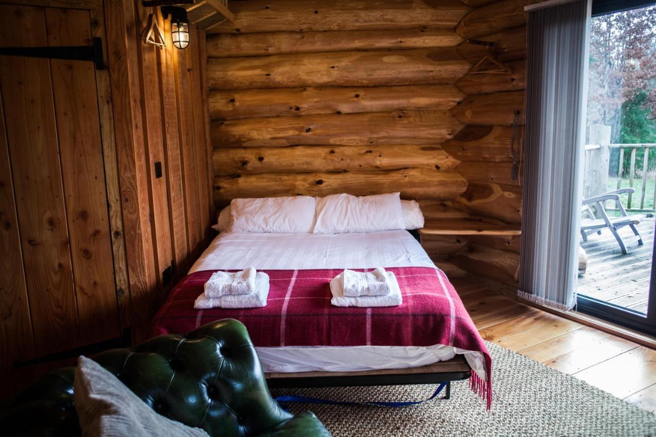 Lodge Coed Y Marchog Woodland Retreat *