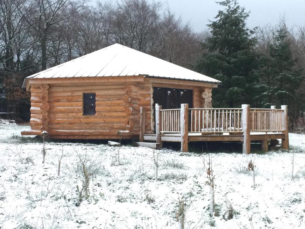Coed Y Marchog Woodland Retreat *