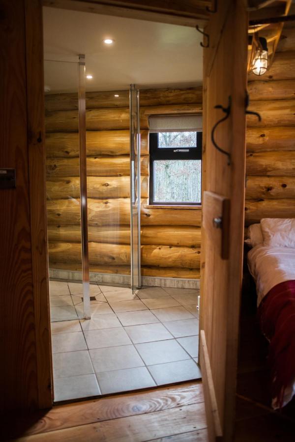 Lodge Coed Y Marchog Woodland Retreat Hereford