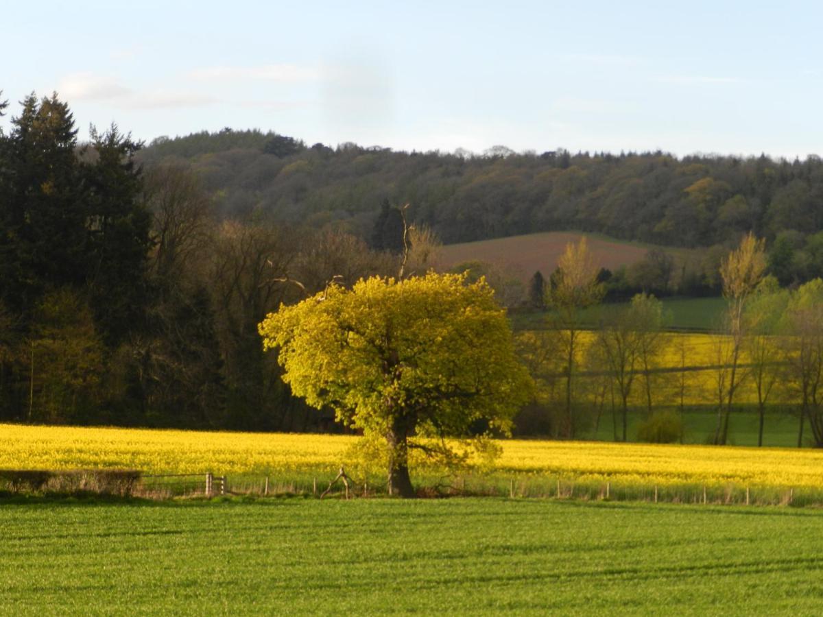 Holiday home Comfy 4m -bed Bell Tent With Great Views