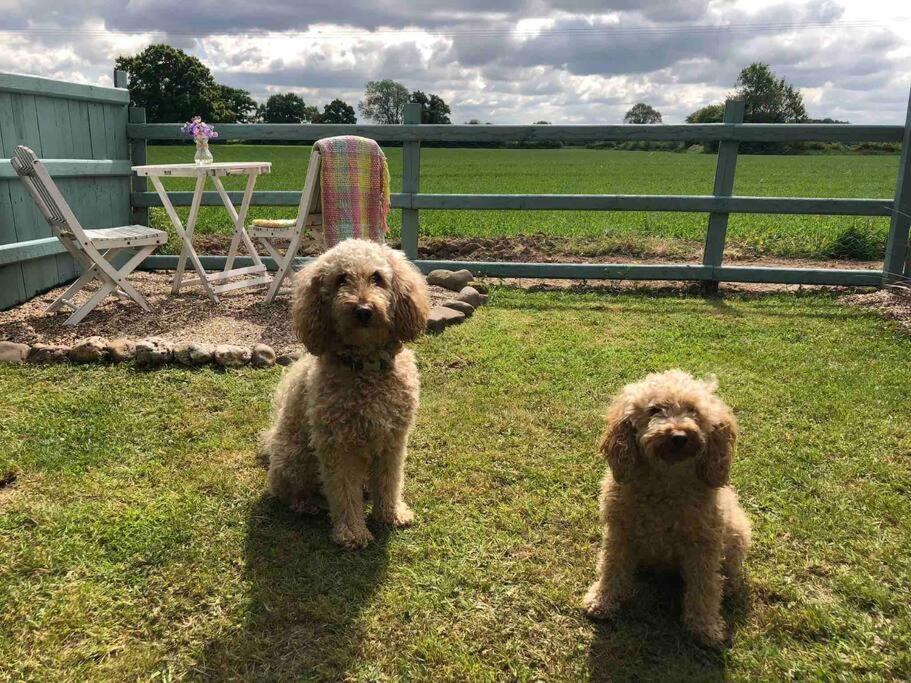 Soldiers Cottage, With Hot Tub, Dog Friendly, Great Views Apartment *