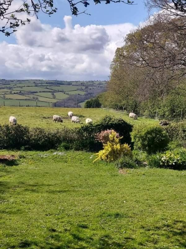 Spacious 1-bed In Clifford Holiday home *