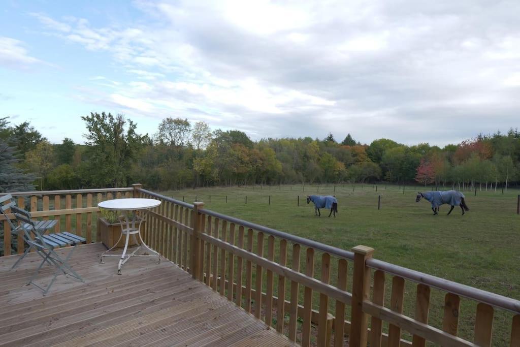 The At Meadow Hope *