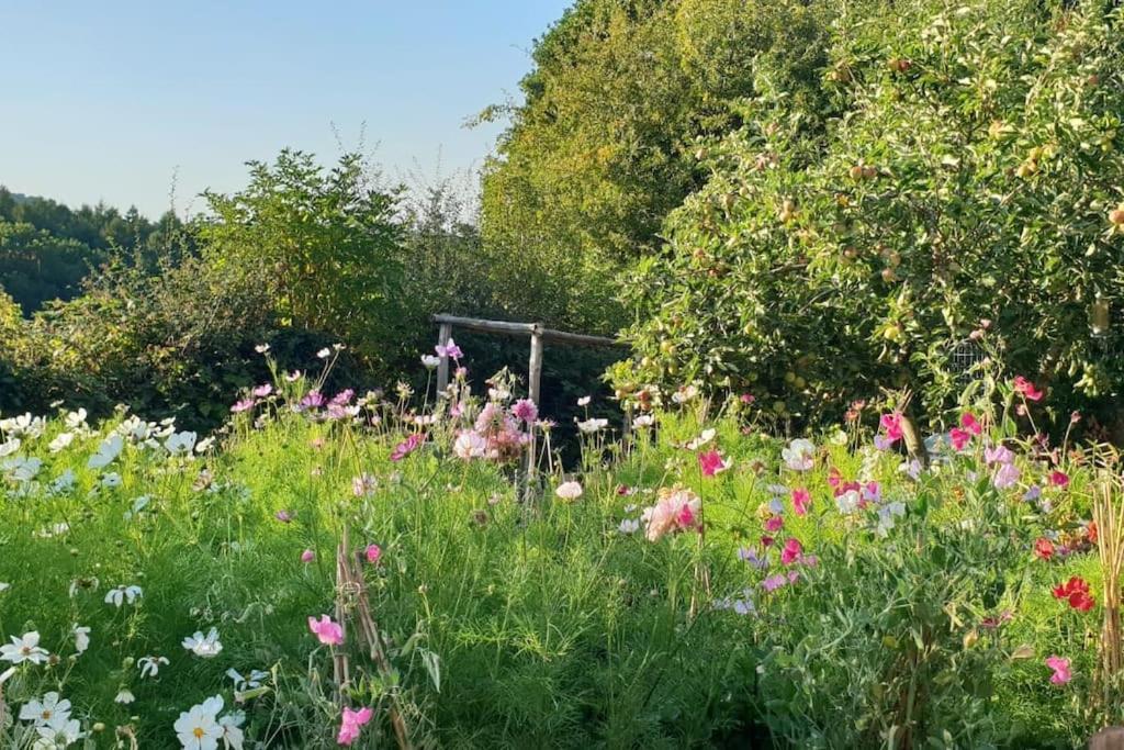 The At Meadow Hope Hereford