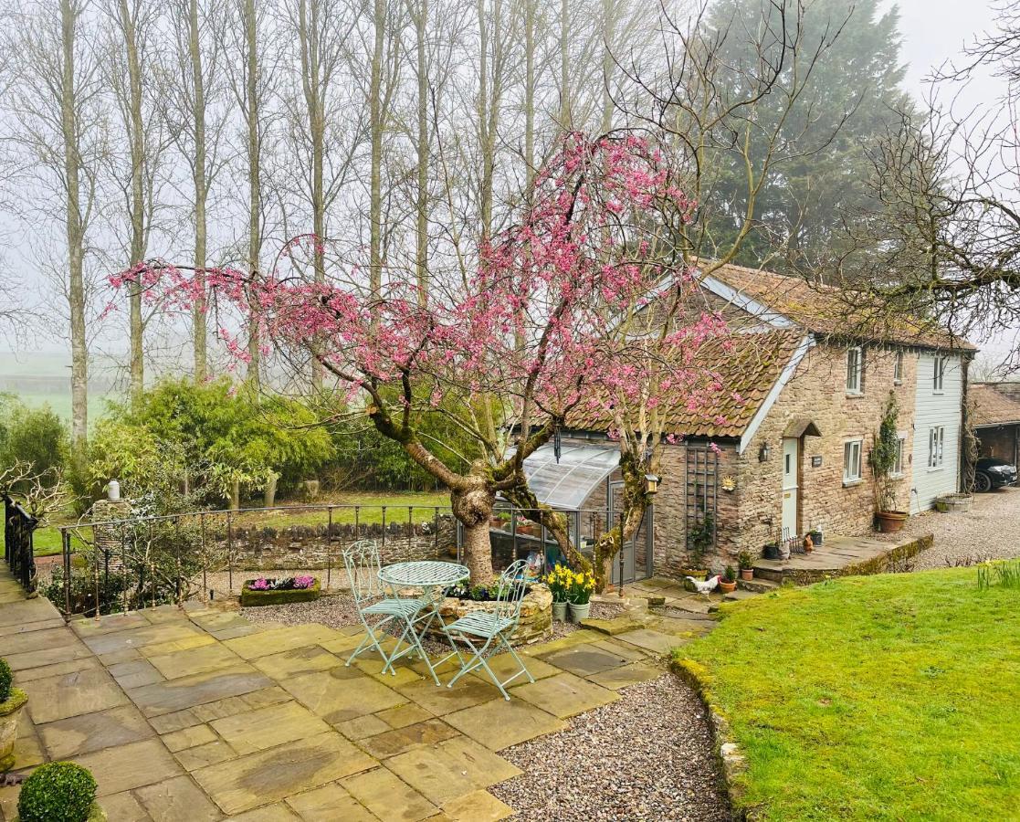 Beautiful Old Water Mill In Rural Herefordshire * Hereford