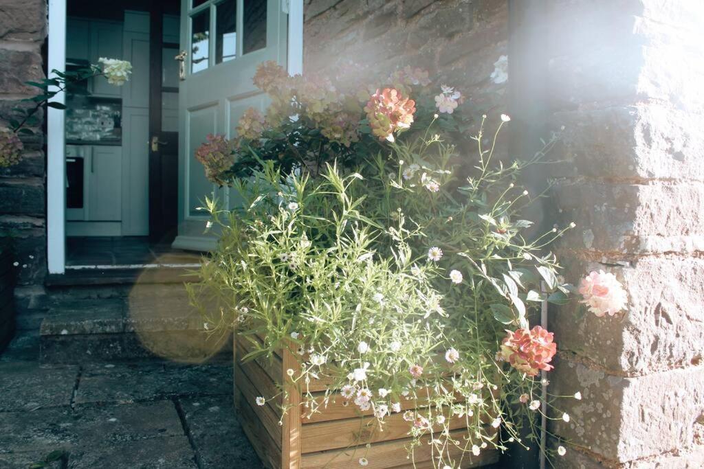 Pump - Cosy Herefordshire Holiday home *