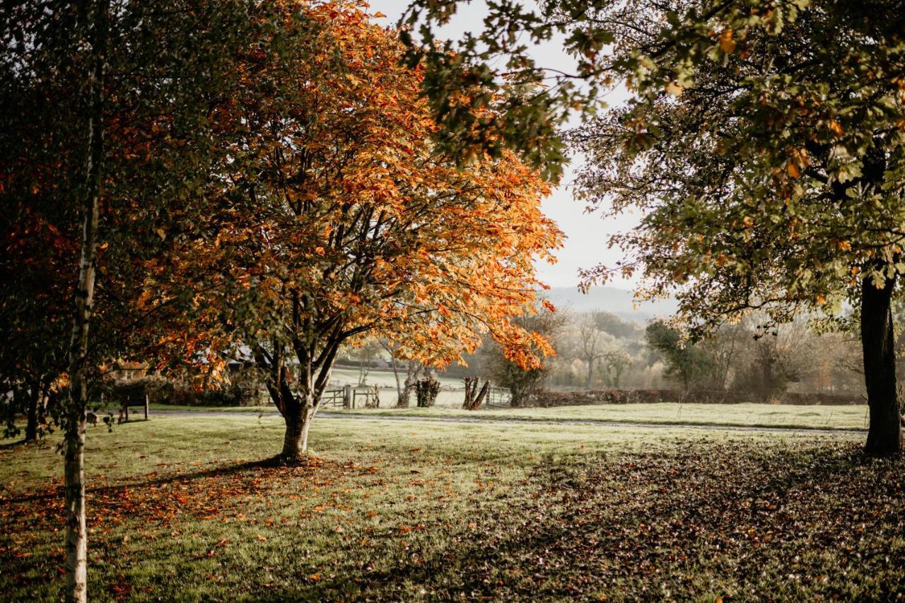 Caplor Glamping & Hereford