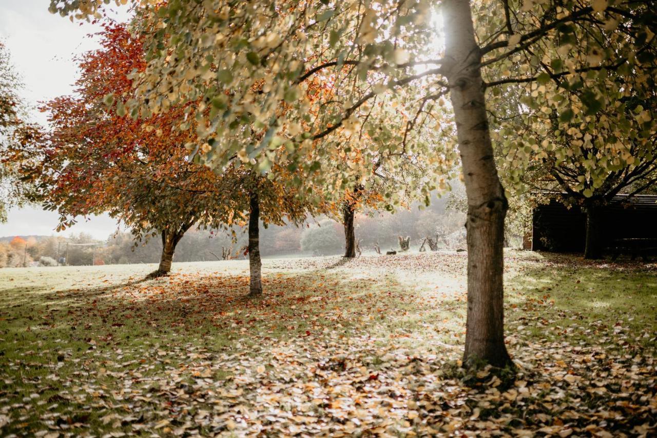 Caplor Glamping & Campsite Hereford