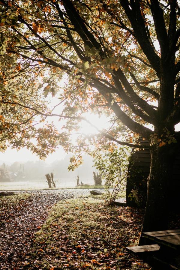 Caplor Glamping & Campsite *