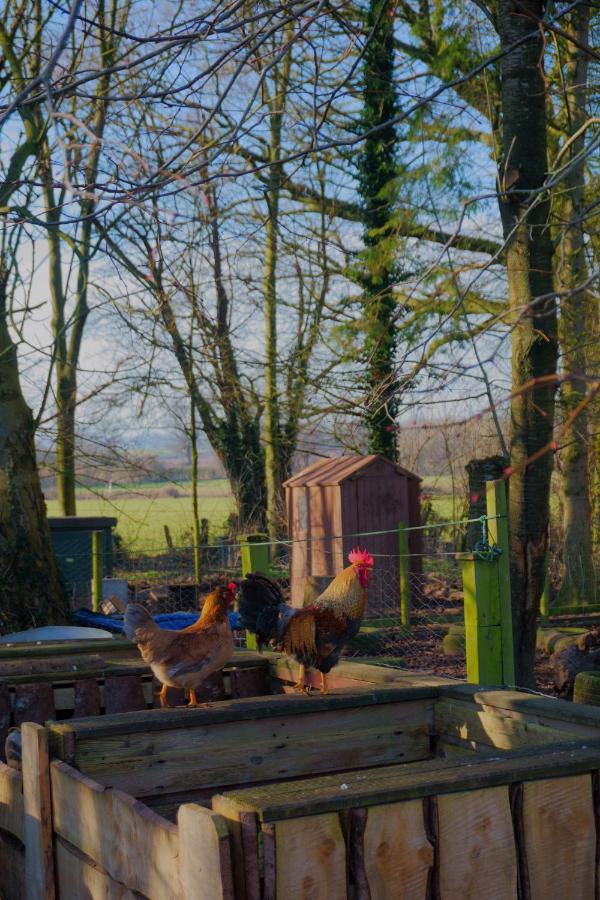 Meadow Barn Holiday home Hereford