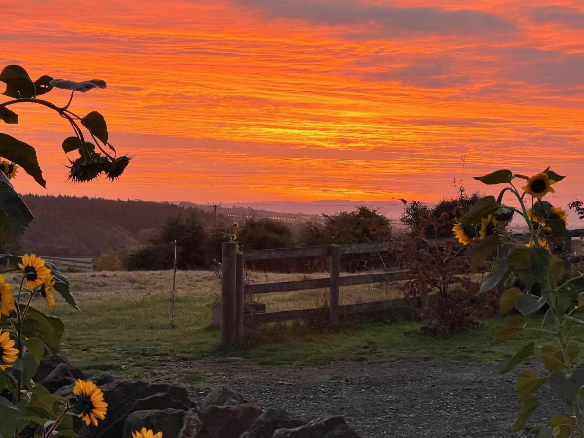 Penburren At Minster Farm West *