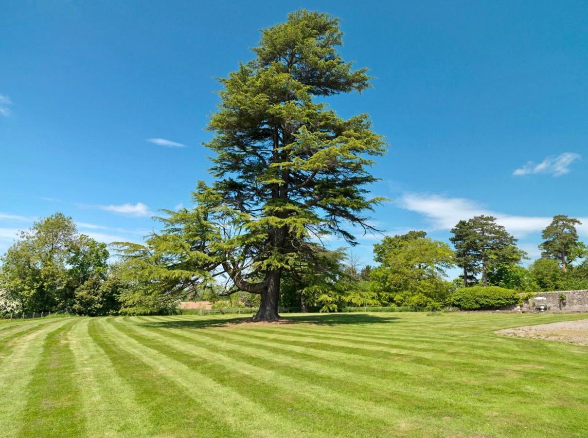 Country house Newcourt Manor *