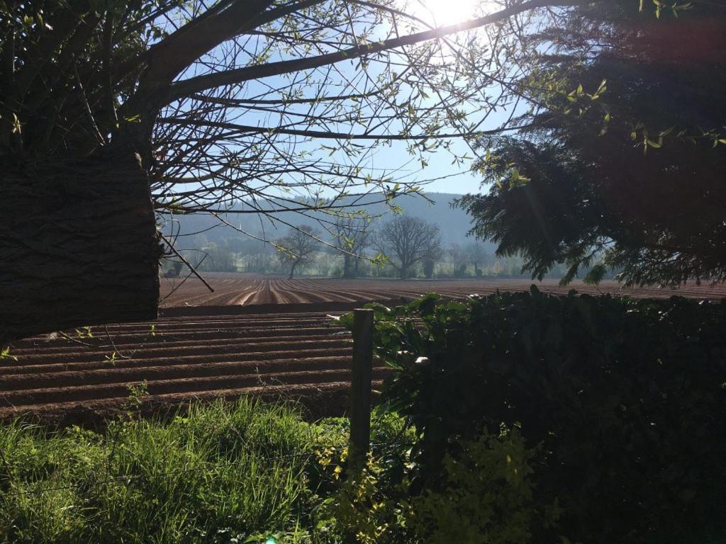 Dee's At Brinsop *