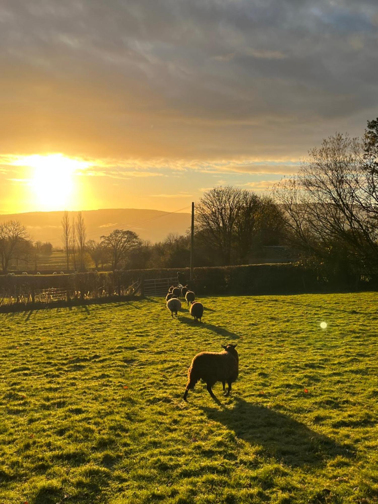 Holiday home Wye View Lodge, Hay View Hereford
