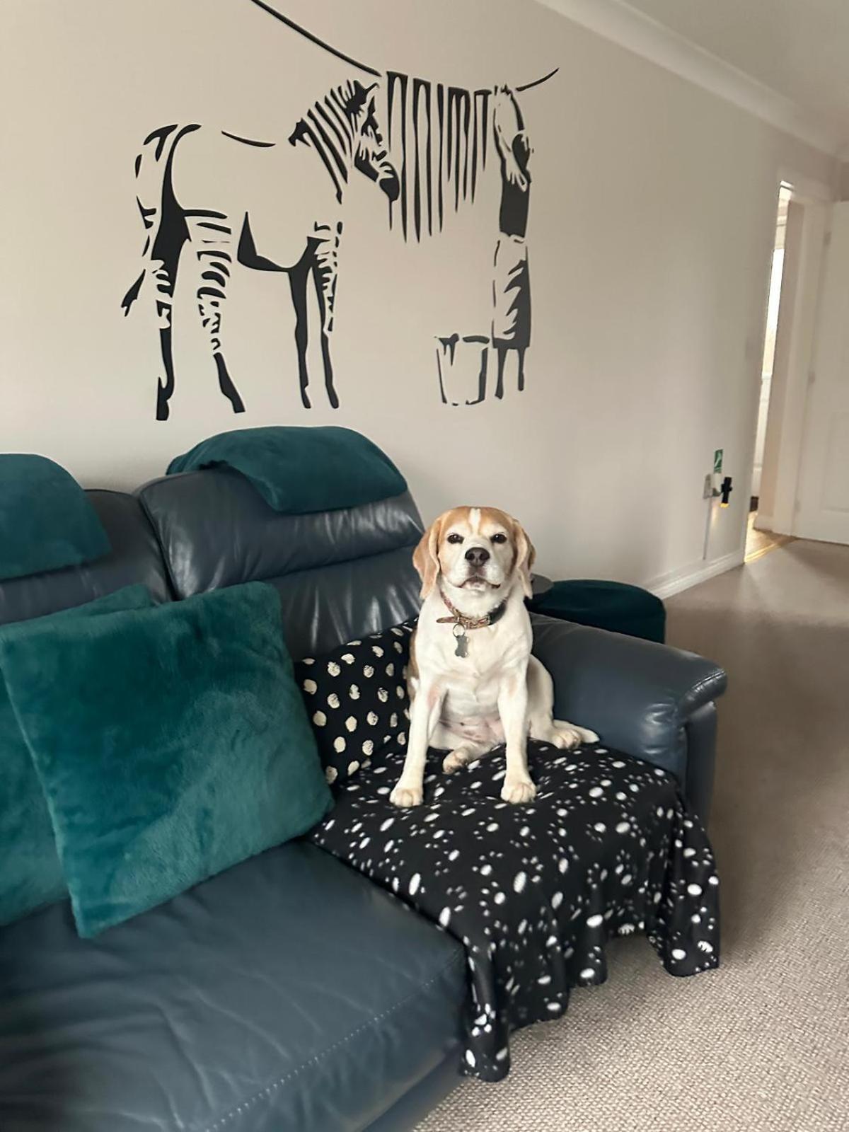 Holiday home Hereford - Finch House - Modern 4 Bedroom House Located In South Hereford, Dog Friendly With Nearby Countryside, Pool Table, Sleeps Up To 10 Guests - Hosted By Rentmyhouse Hereford