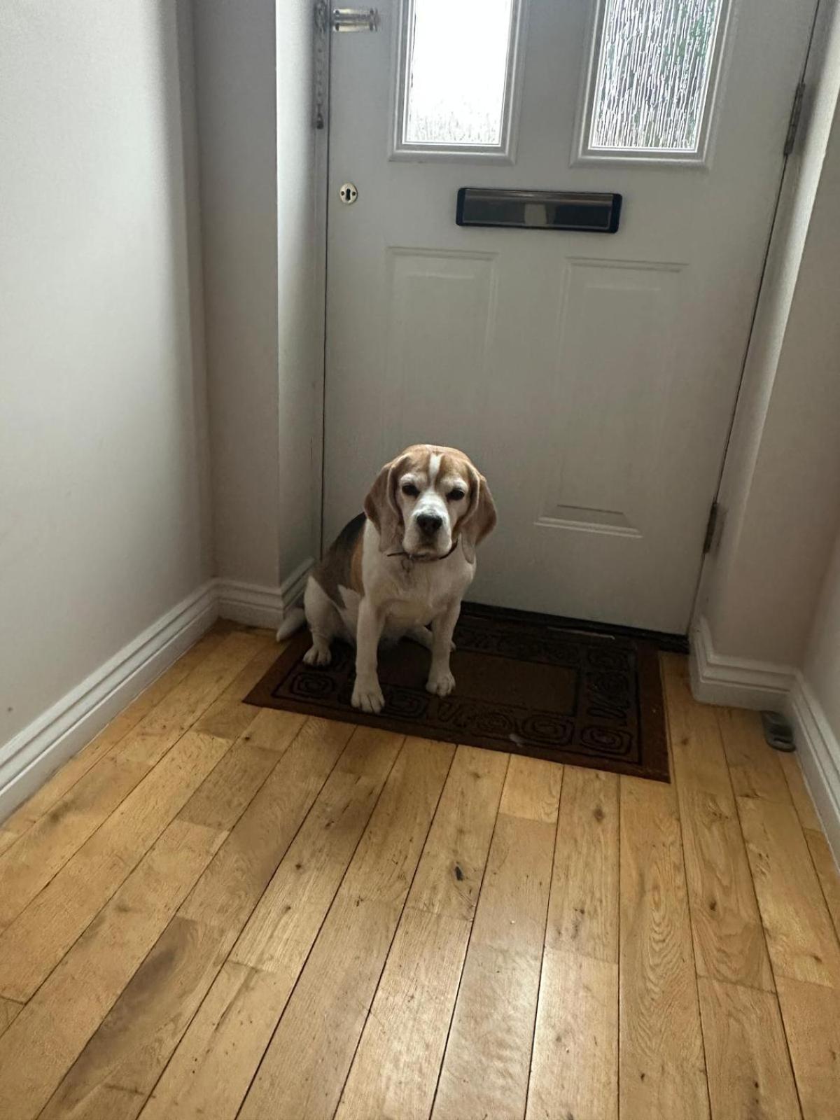 Holiday home Hereford - Finch House - Modern 4 Bedroom House Located In South Hereford, Dog Friendly With Nearby Countryside, Pool Table, Sleeps Up To 10 Guests - Hosted By Rentmyhouse *