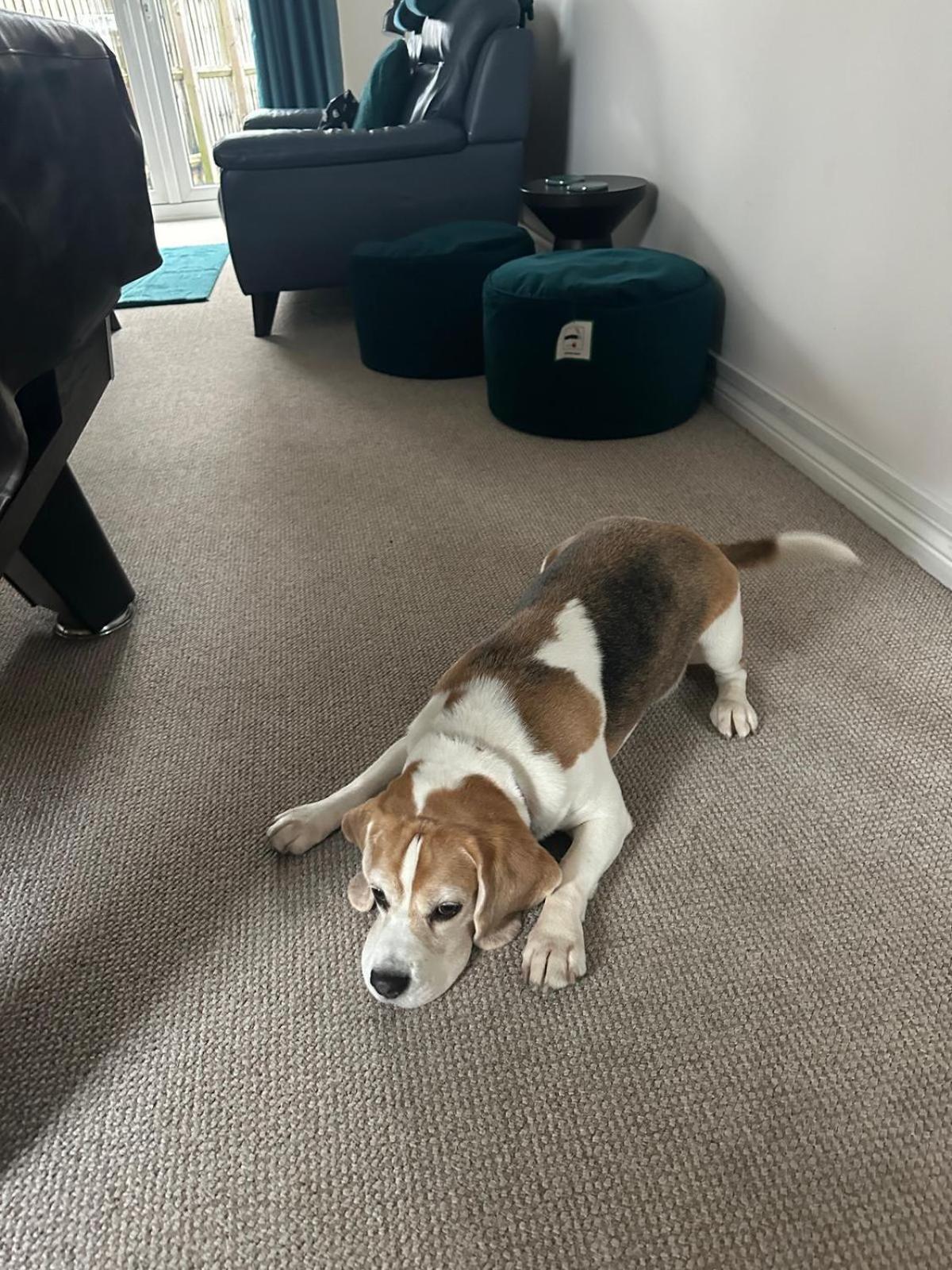 Holiday home Hereford - Finch House - Modern 4 Bedroom House Located In South Hereford, Dog Friendly With Nearby Countryside, Pool Table, Sleeps Up To 10 Guests - Hosted By Rentmyhouse Hereford