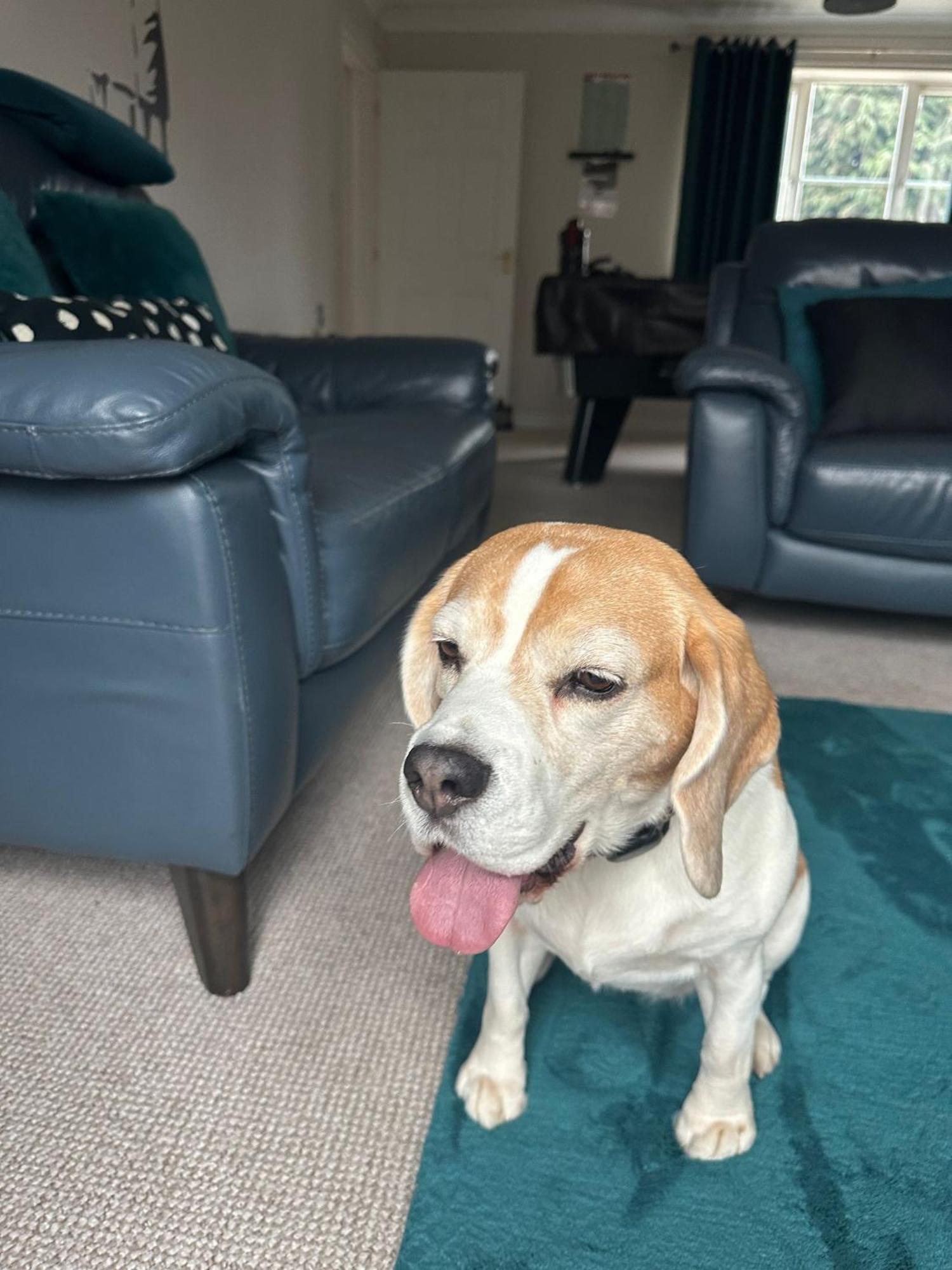 Hereford - Finch House - Modern 4 Bedroom House Located In South Hereford, Dog Friendly With Nearby Countryside, Pool Table, Sleeps Up To 10 Guests - Hosted By Rentmyhouse Holiday home