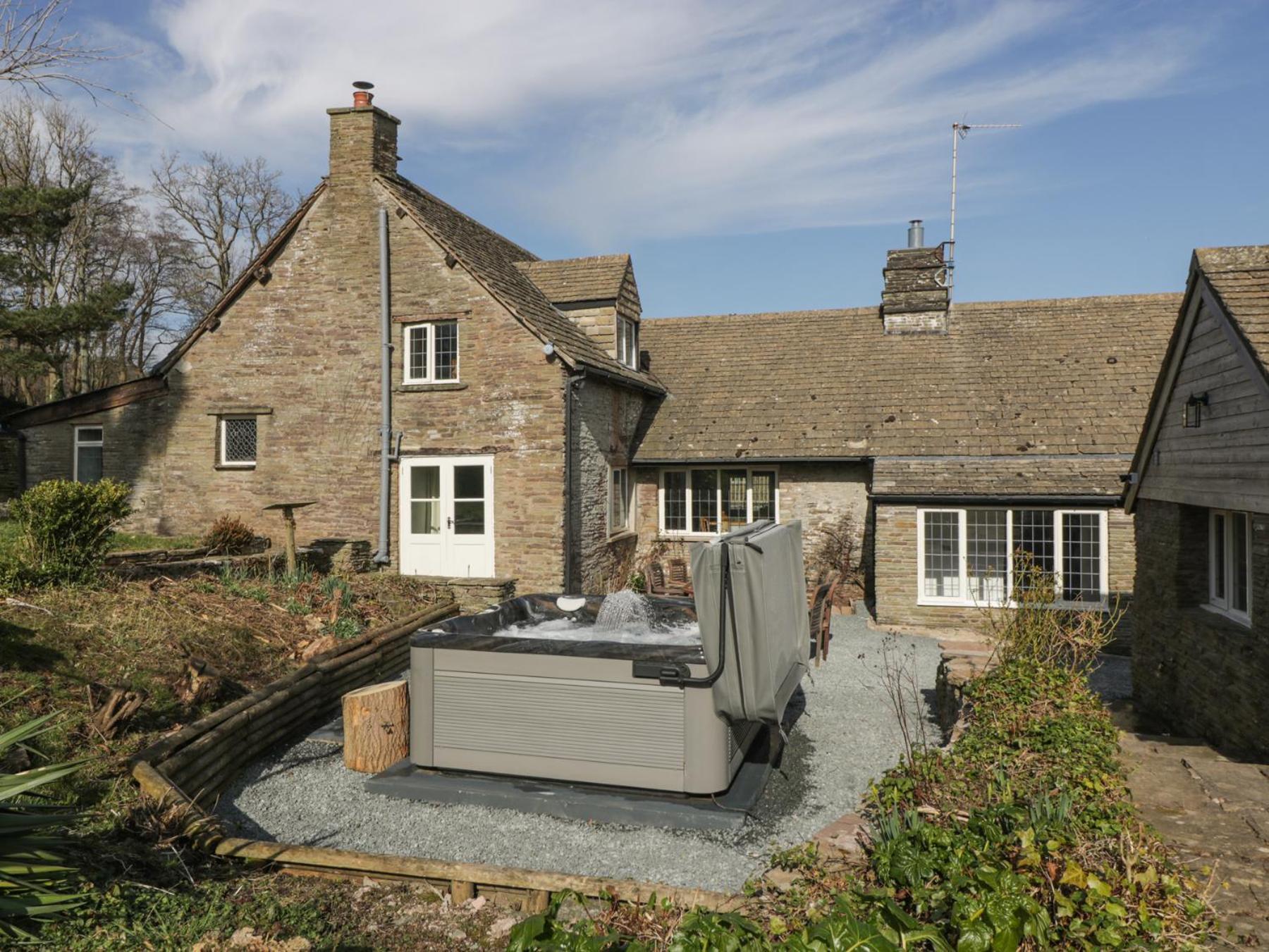 White Haywood Hereford