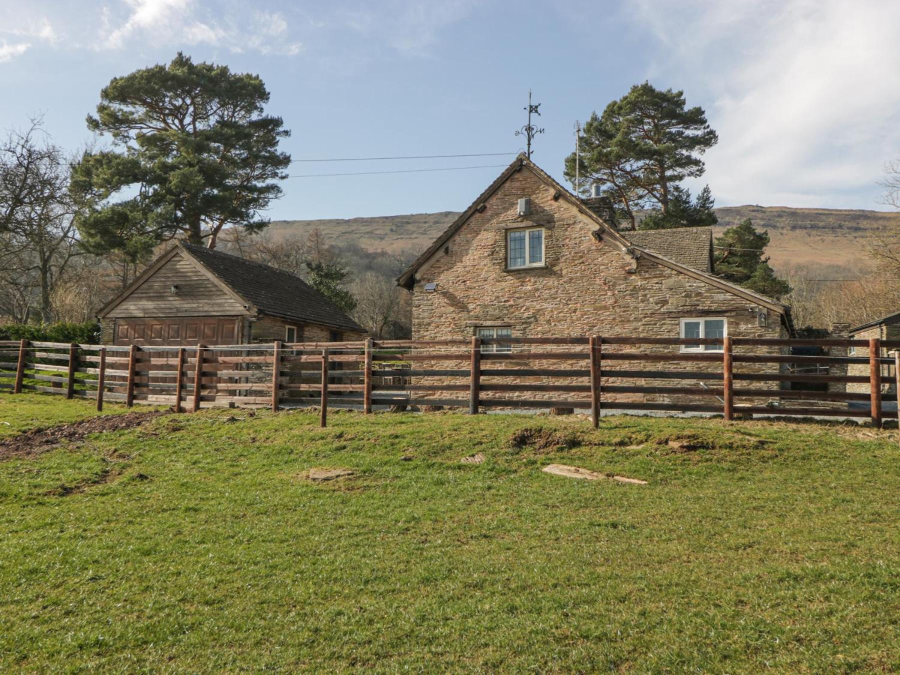 White Haywood * Hereford
