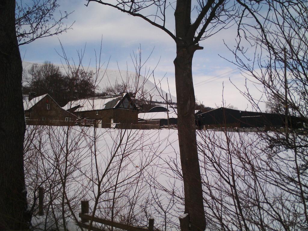 White Haywood Farm Restaurant With Hereford