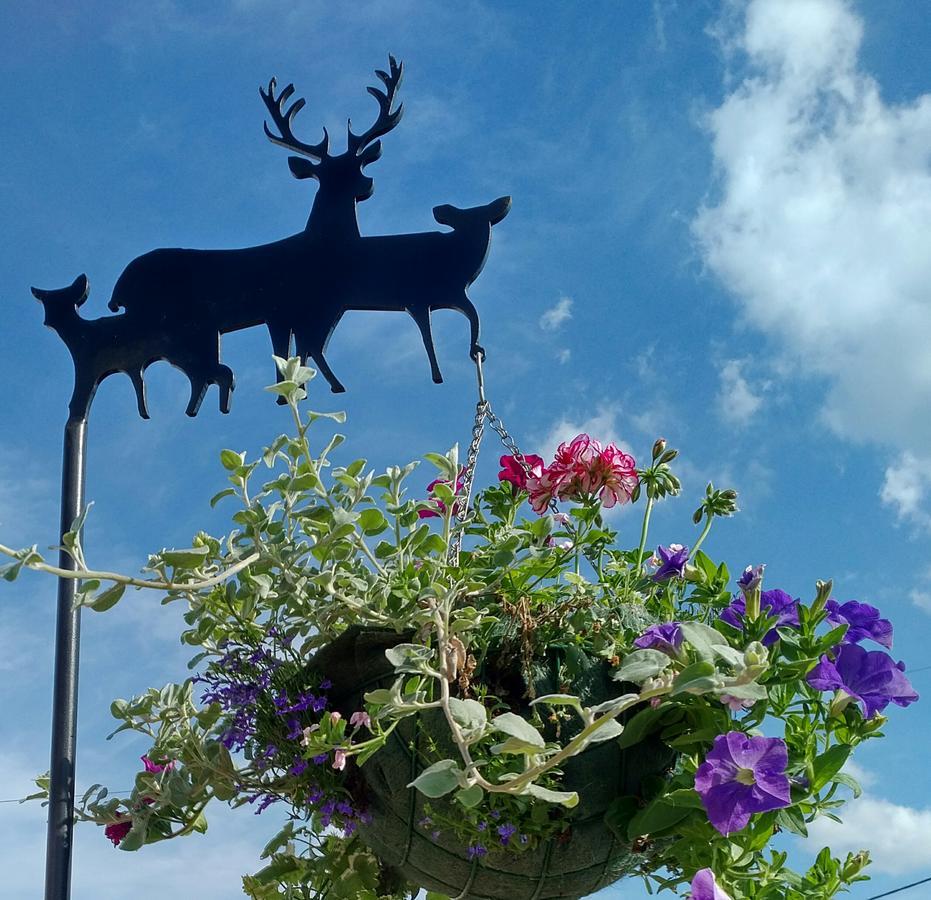 Inn The Roebuck