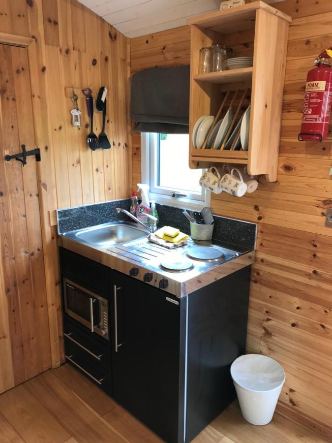 Apartment Stunning Railway Carriage With Private Hot Tub